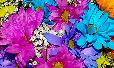 Blombukett med sprakande färger