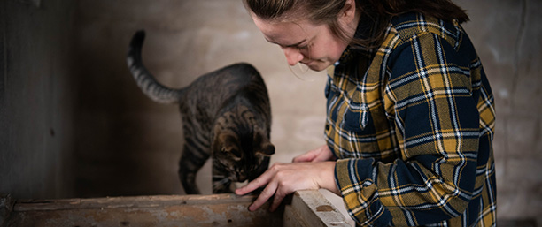 Therese Ivarsson arbetar med ett fönster med en katt som
sällskap. 