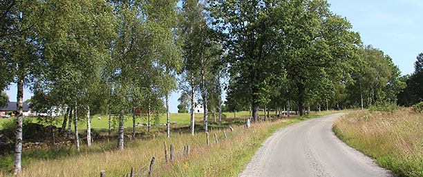 Grusväg på landsbygden i Bollebygds kommun
